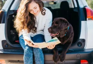 Paws, Prepare, Move: A Complete Checklist for Moving with Pets